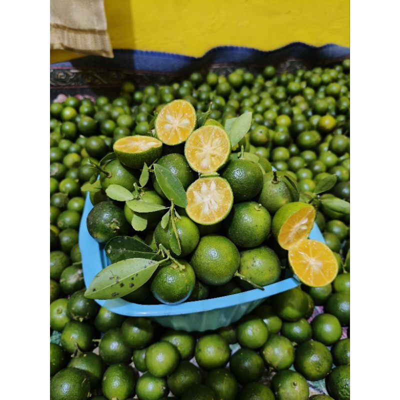 

2.kg jeruk sonkit/kasturi segar