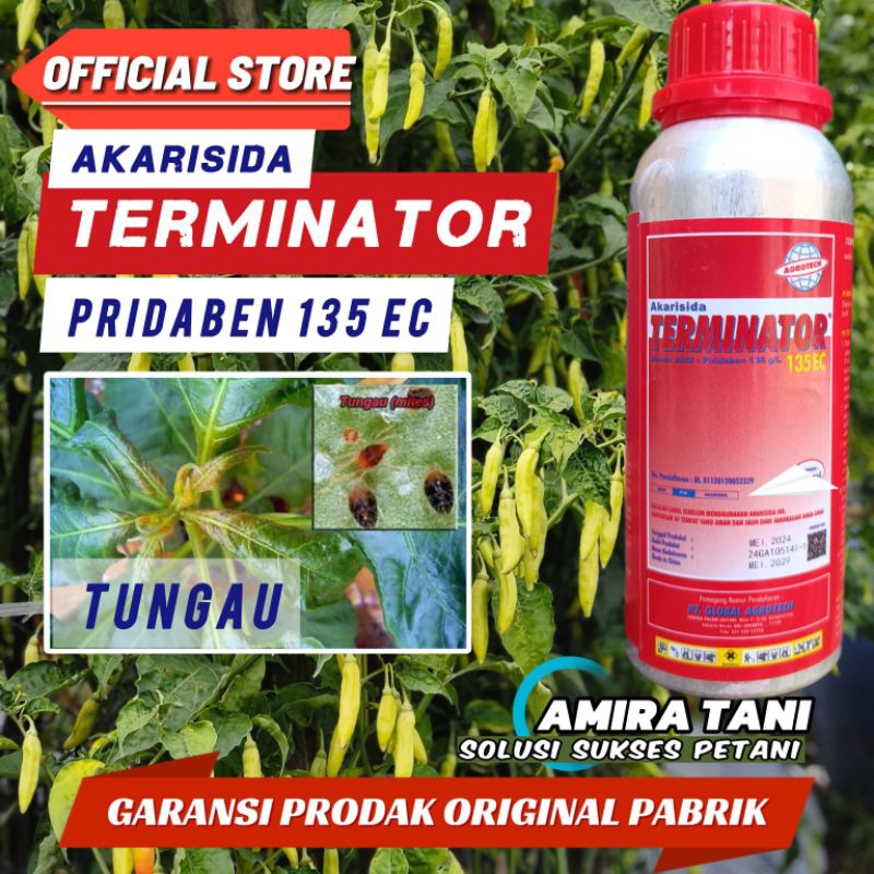 AKARISIDA TERMINATOR pridaben basmi hama tungau keriting daun