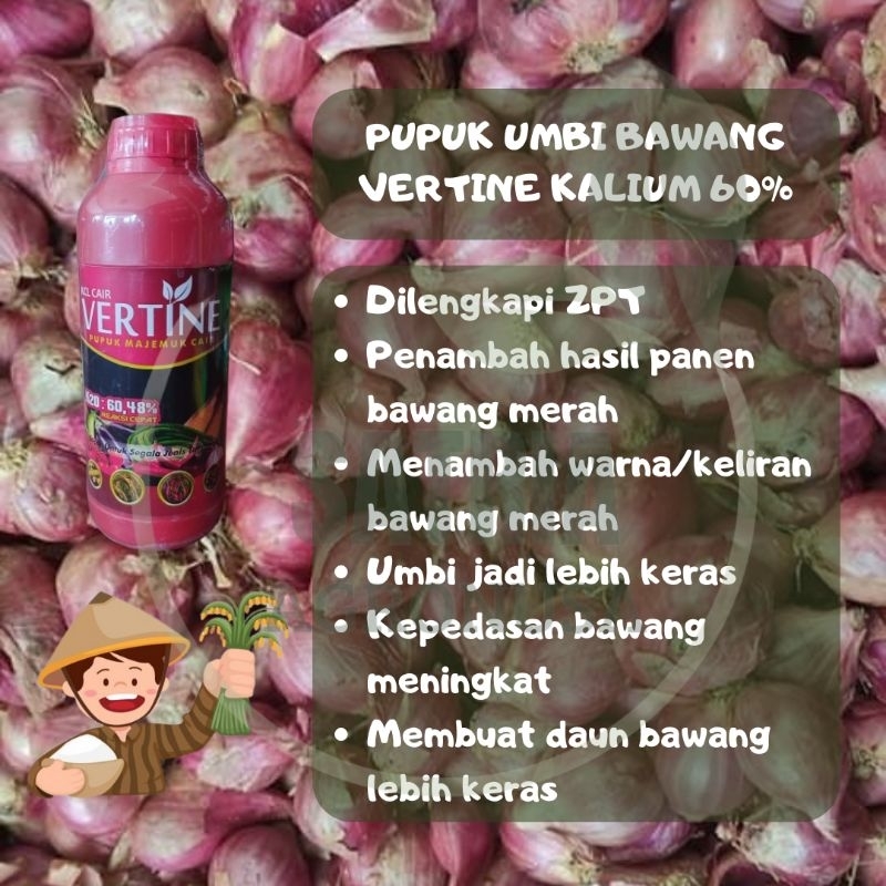 POC VERTINE KALIUM 1 LT / UNTUK PEMBESARAN UMBI BAWANG MERAH / BAWANG MERAH MAKIN MERONA