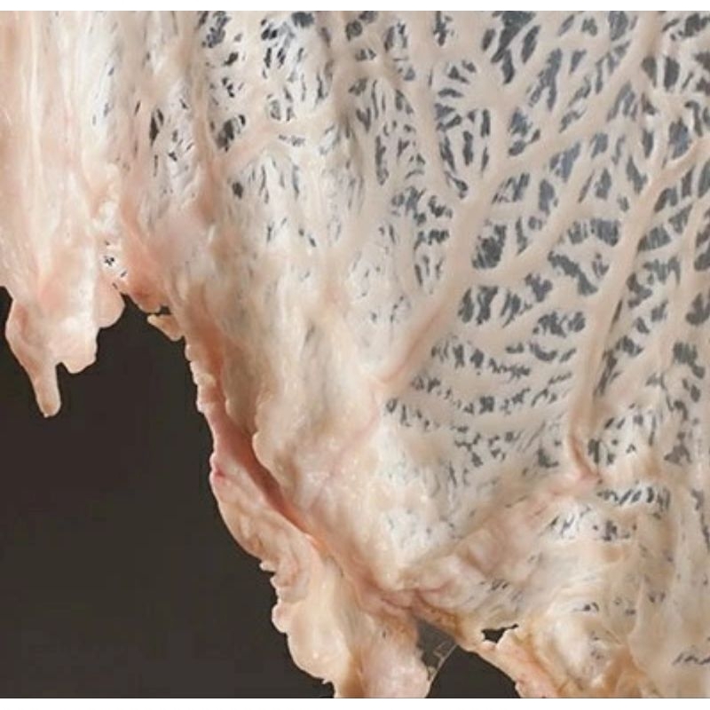 

lemak kambing untuk masakan olahan kambing