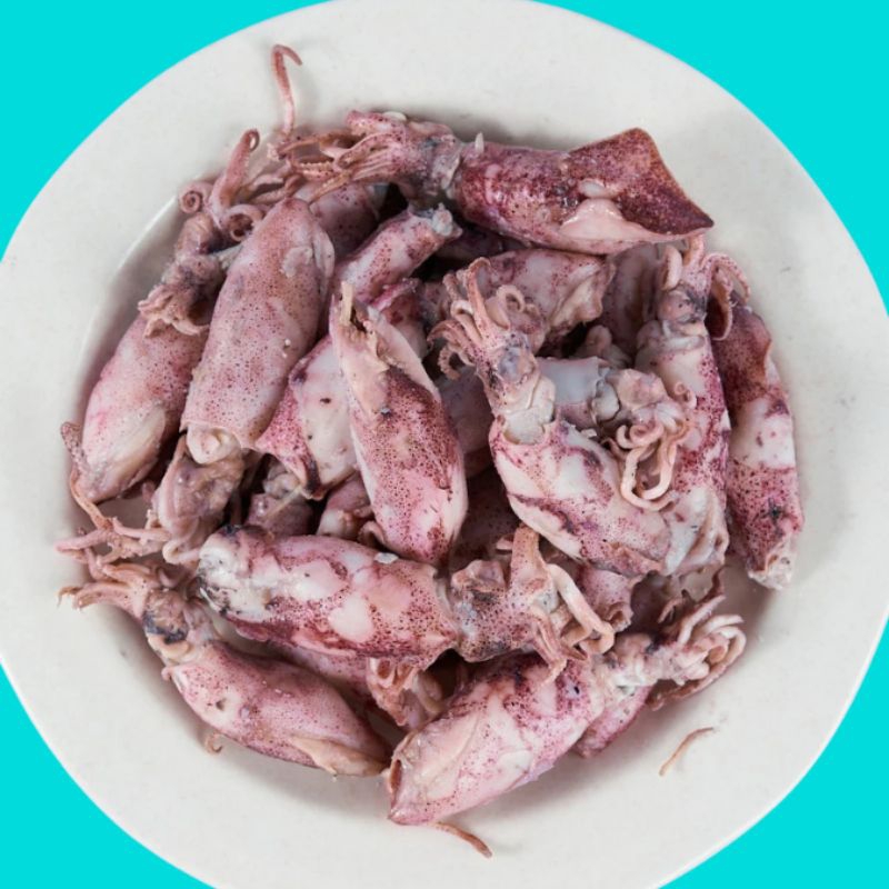 

ikan cumi asin cumi asin