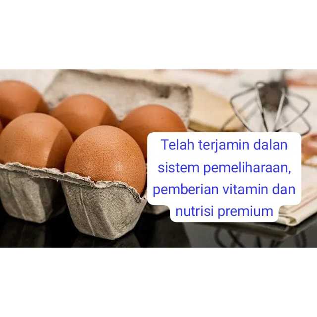 Telur Ayam Negeri PREMIUM - 15 KG ( SATU PETI ) GRADE A telor ayam negri lokal Fresh dari peternakan