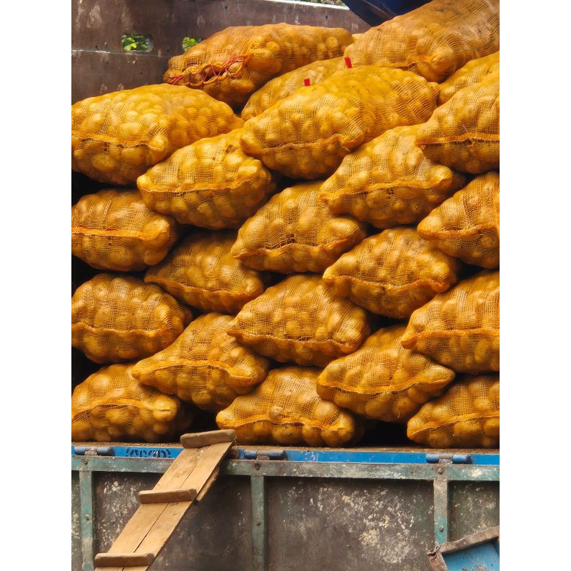 

KENTANG KUNING LANGSUNG DARI PETANI