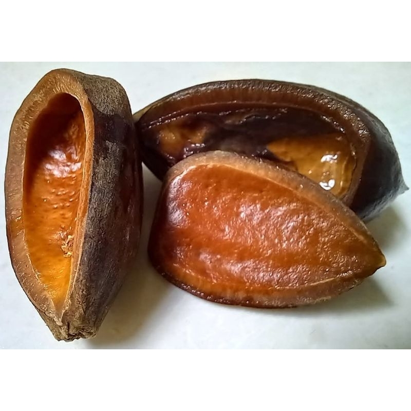 

Tempurung kacang kenari, Batok kenari, Cangkang Kacang Kenari tanpa isi /tanpa biji 1kg