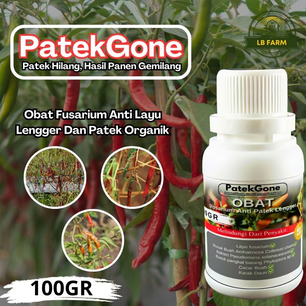 PatekGone Fungisida Organik Obat Anti Patek Lengger Layu Fusarium Cacar Buah Cacar Daun 100gr