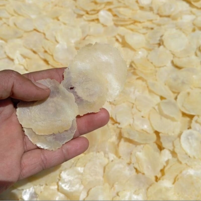 

EMPING MELINJO 1000gram