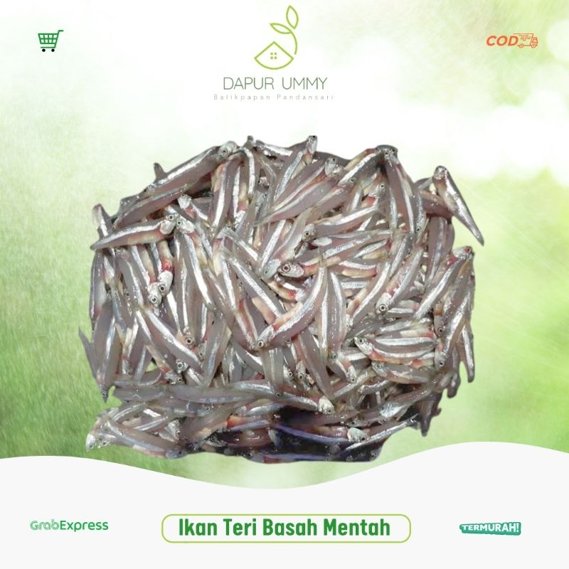 

IKAN FRESH • Teri Basah