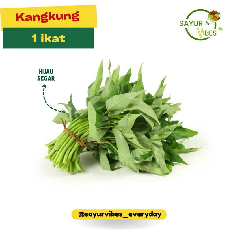 

Kangkung hijau segar 1 ikat Sayur Vibes / Sayuran sehat harian / Cocok untuk tumis & sayur
