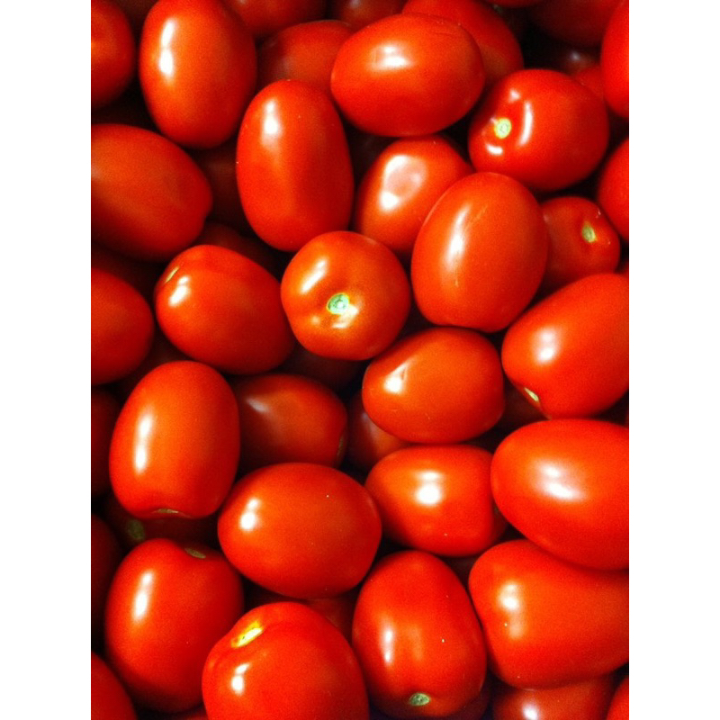 

Tomat Merah Segar | Sayur Freshmart Bandung