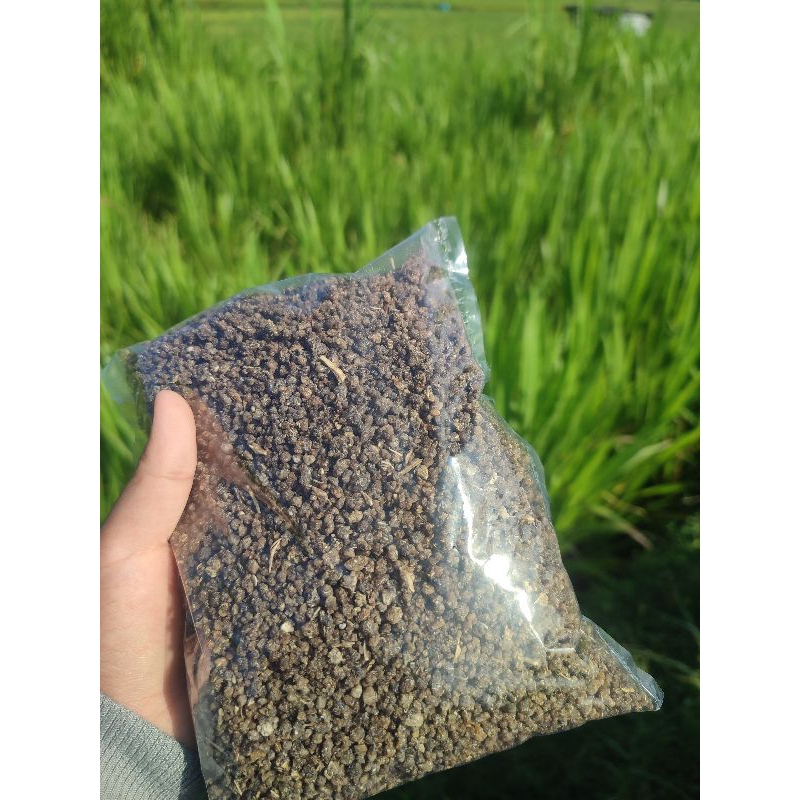 

Tiwul hitam /oyek hitam berkualitas