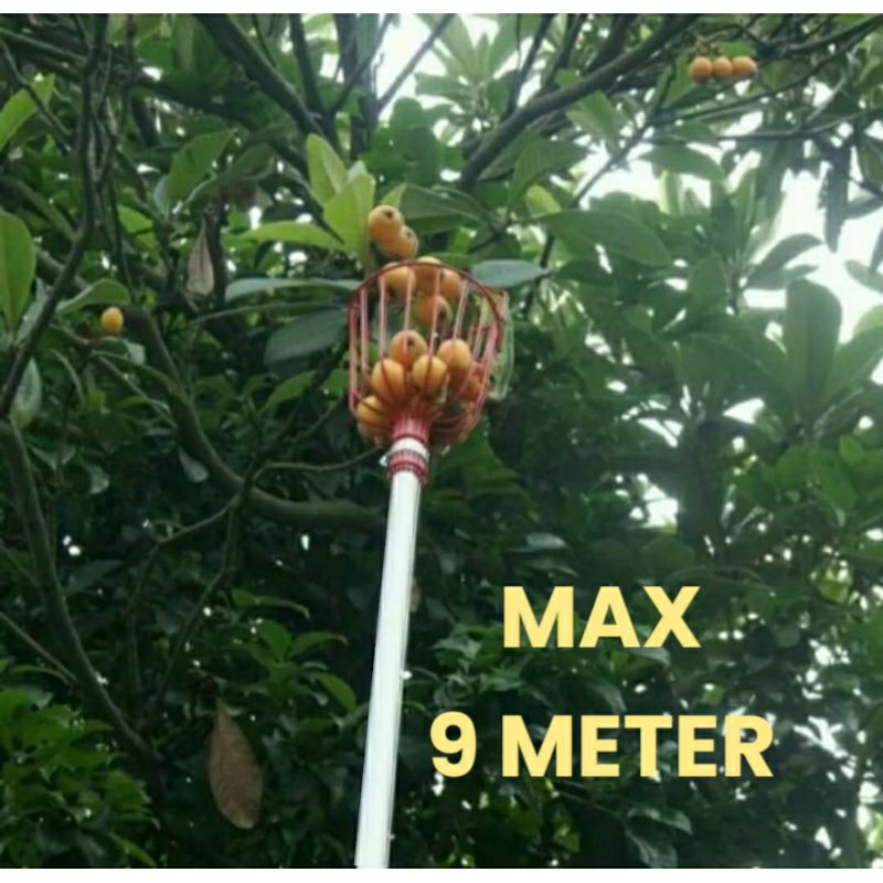 Galah Keranjang Petik Buah Max 9 Meter Bisa Di Panjang Pendekkan