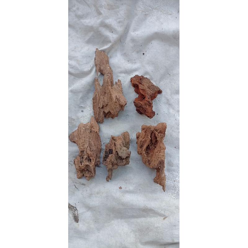 5 pics kayu rentek aquascape. mini