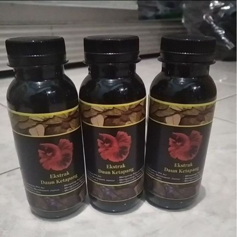 

air extra Ketapang 1kg untuk ikan Channa single tank