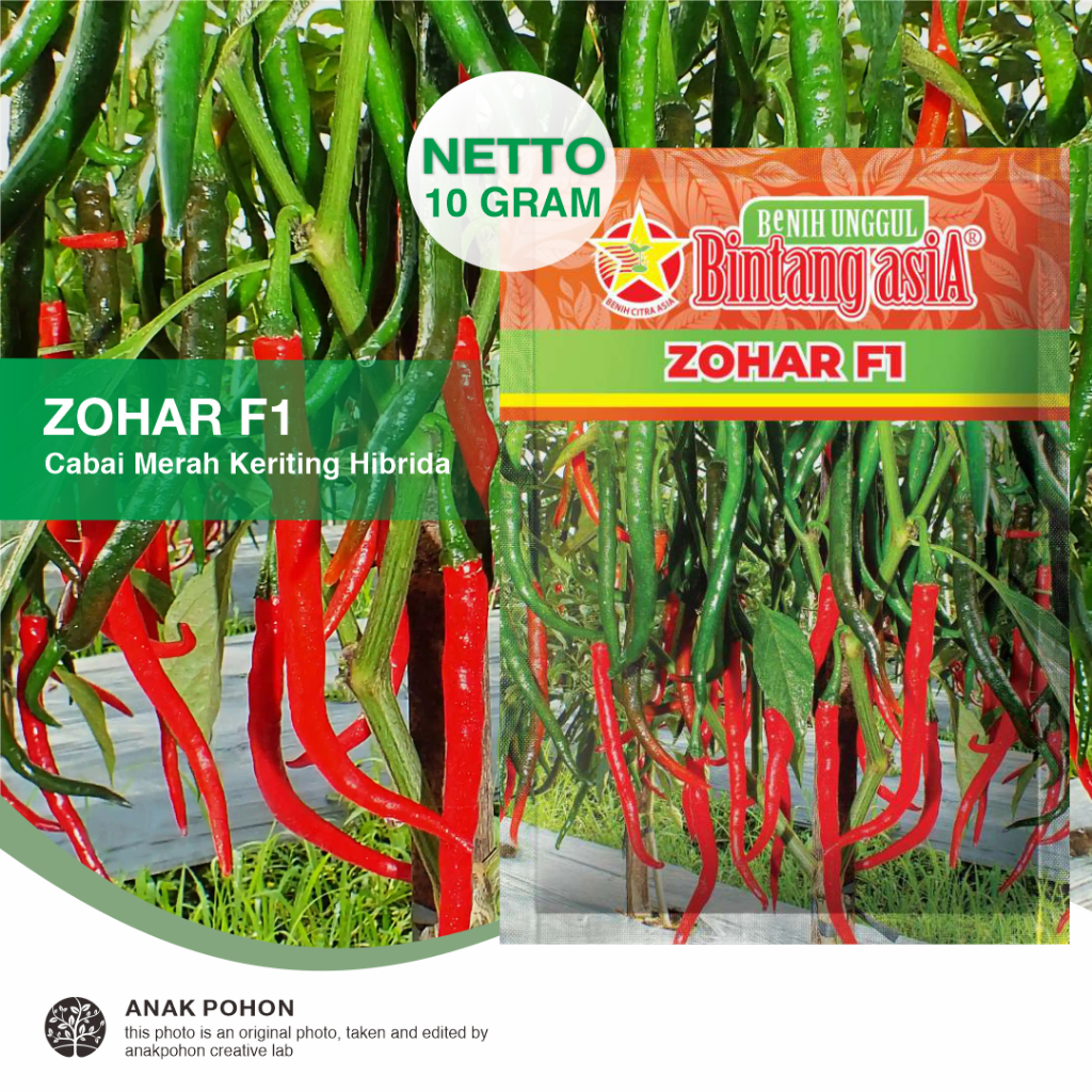 (1 PACK) Benih Cabai Merah Keriting ZOHAR F1 Cabe Lebat & Serempak Buah Besar Hibrida Seeds - Bintan