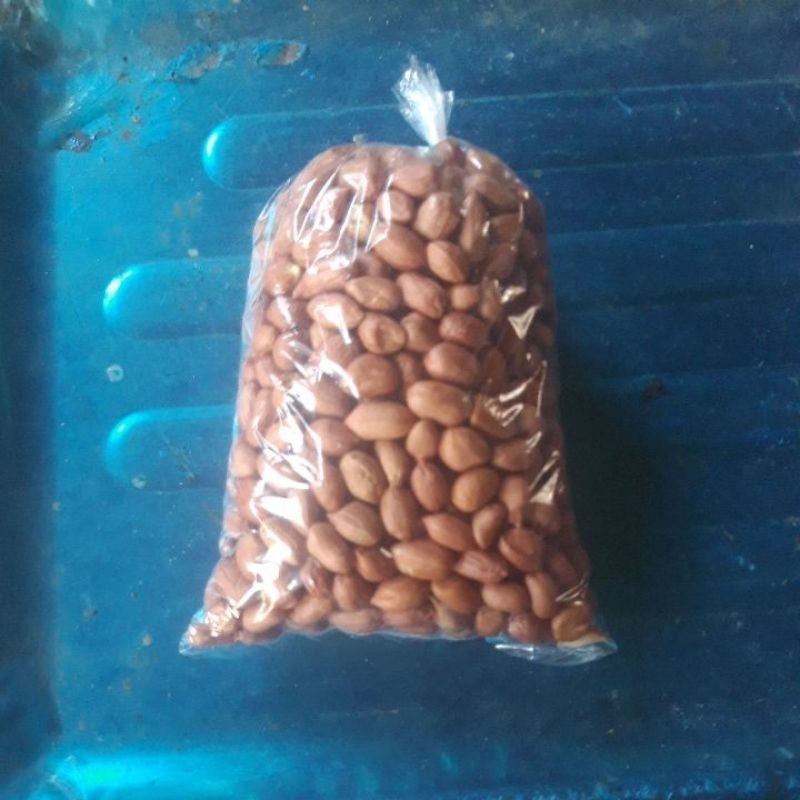 

kacang tanah merah