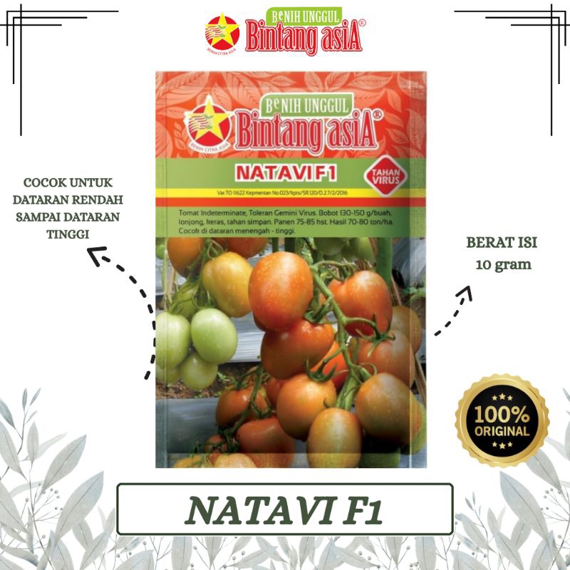 BENIH TOMAT NATAVI F1 BINTANG ASIA PT. BENIH CITRA ASIA (10 GRAM)