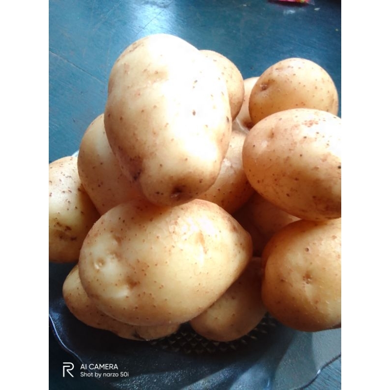 

kentang dieng fress ukuran kecil