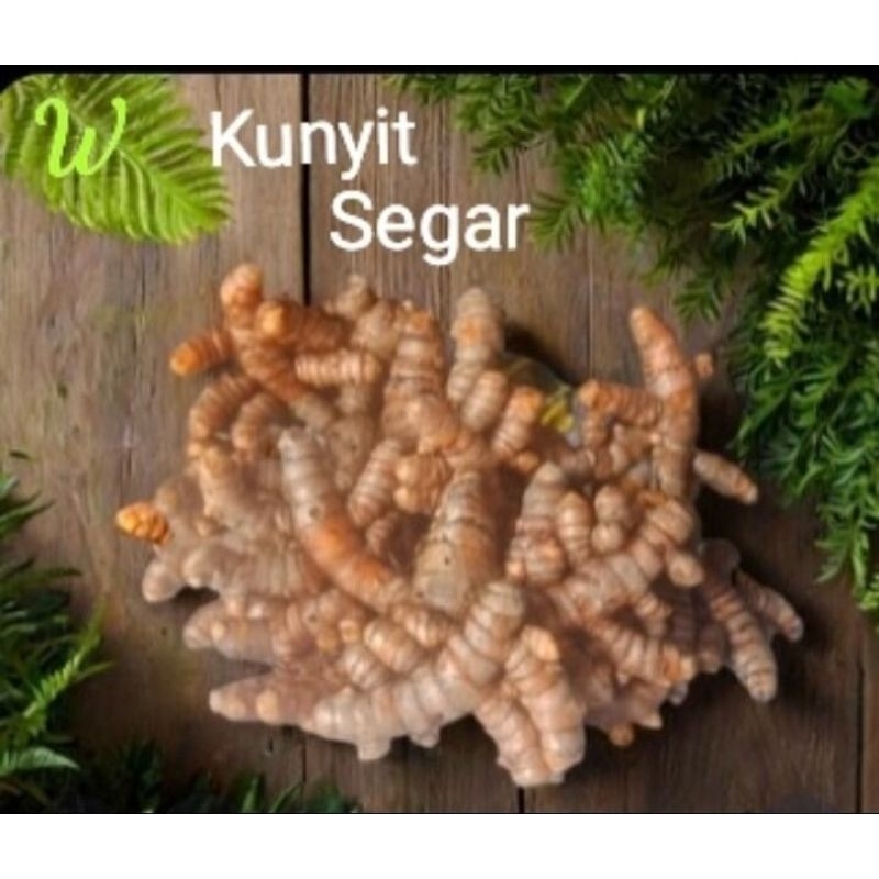 

kunyit segar 500gr