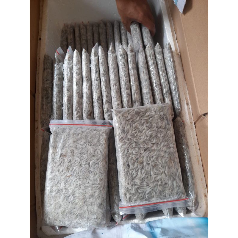 

Udang sawah beku 5 kg