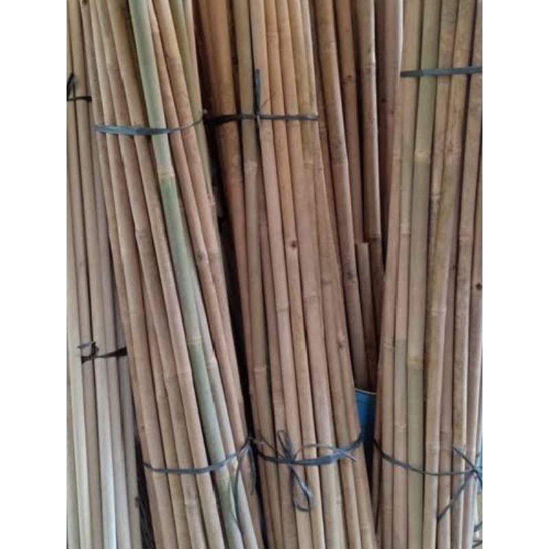 Promo Tongkat Bambu Tongkat Pramuka