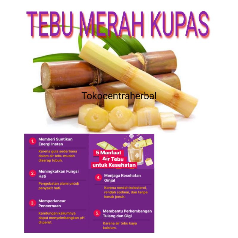 

Tebu Merah fresh Sudah di kupas 1 kg