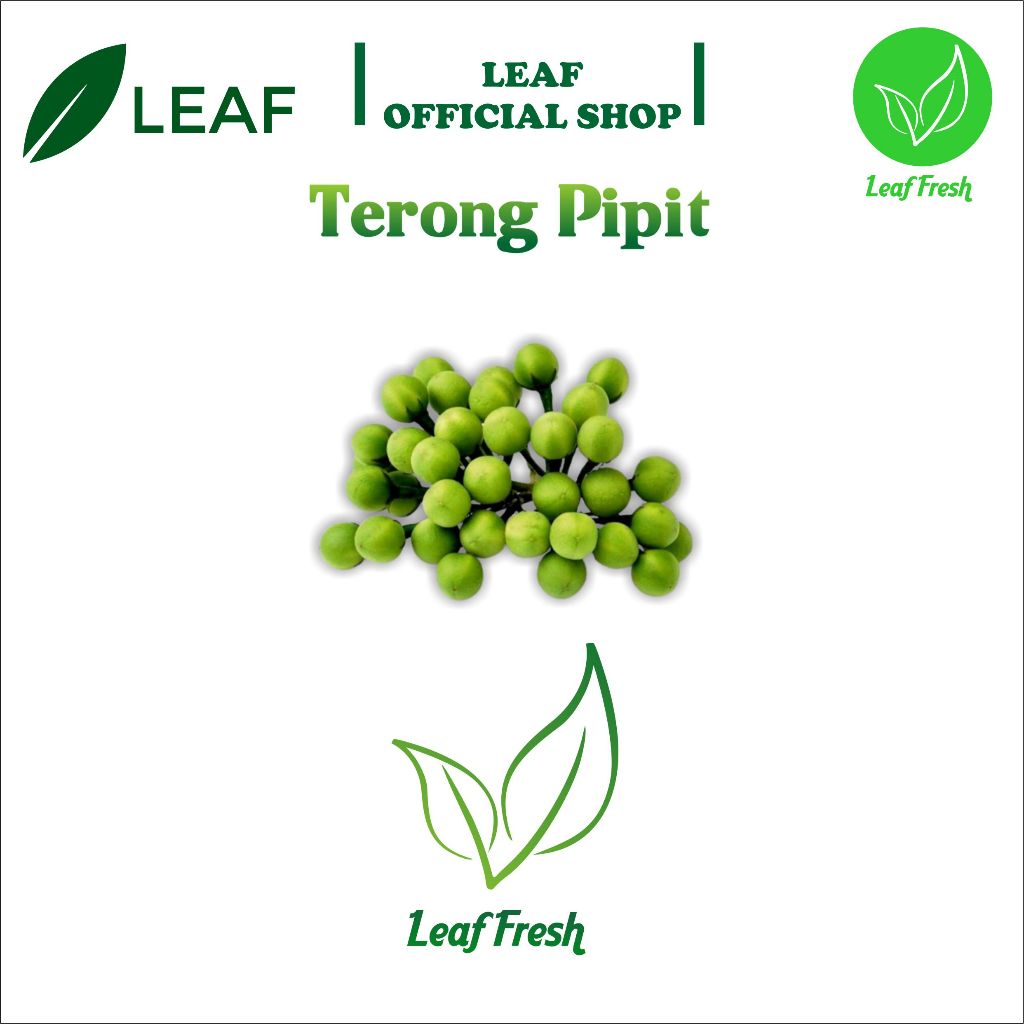 

TERONG PIPIT BY LEAF FRESH