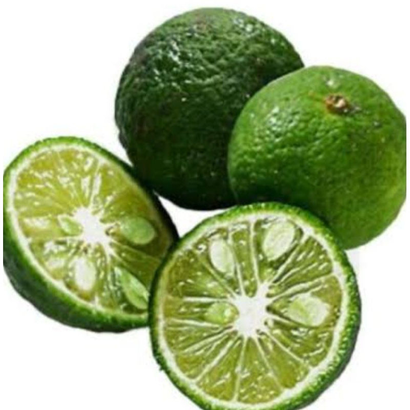 

jeruk limo kecil segar baru fress 1kg