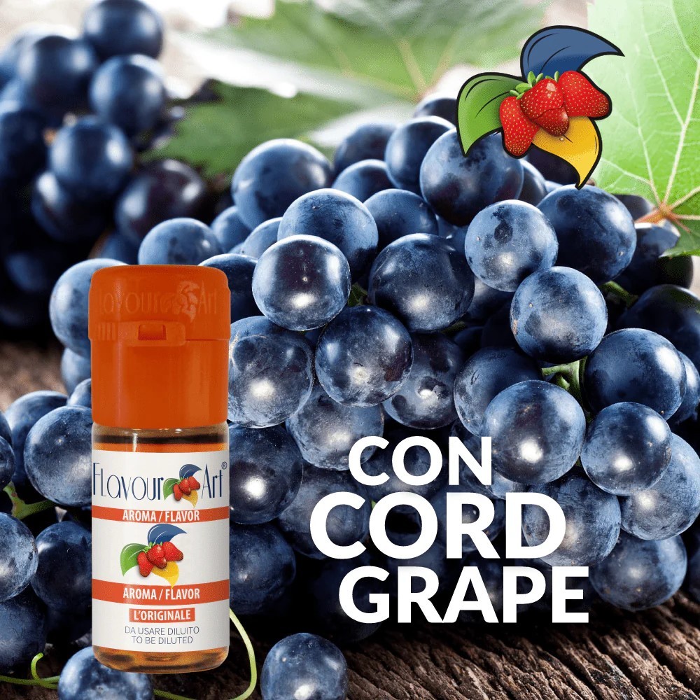 

FA Concord Grape Flavor 30ml Essence DIY