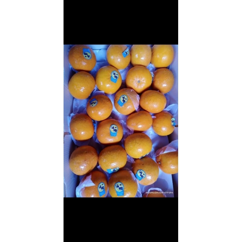 

jeruk wogan 1kg
