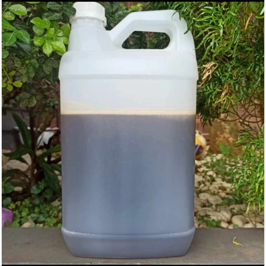 

Madu Hutan Asli Murni Raw Honey 5000 Gram