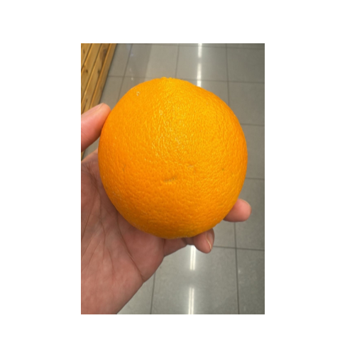 

Buah Jeruk Sunkist Segar Premium