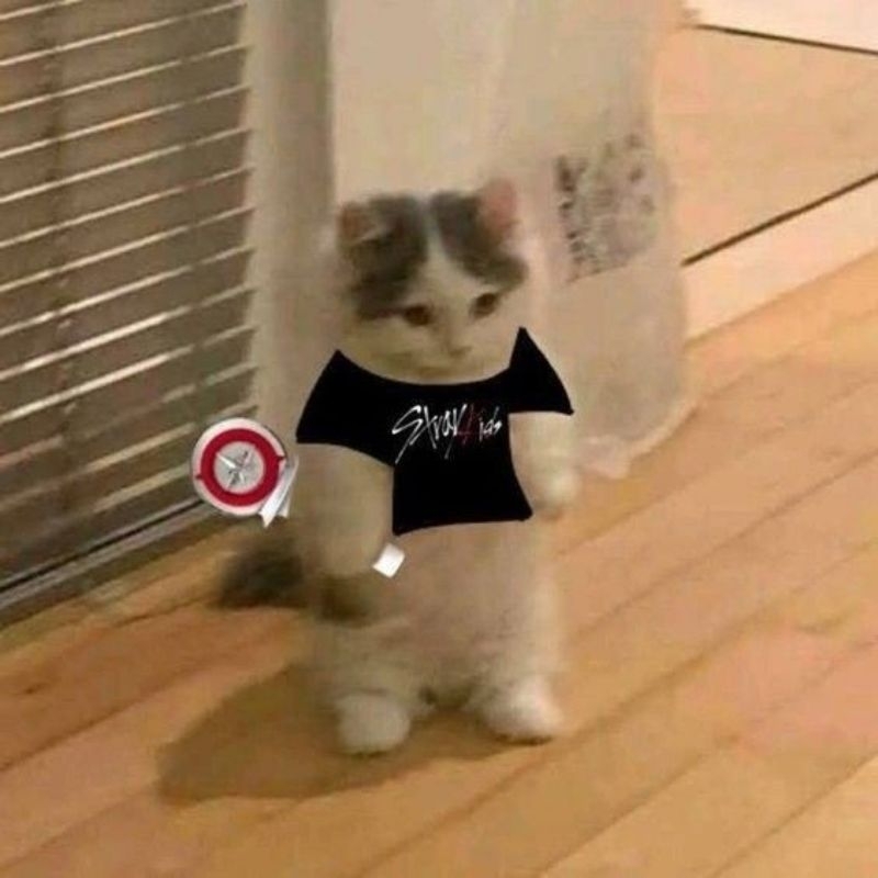 PRELOVED NACHIMBONG VER.2