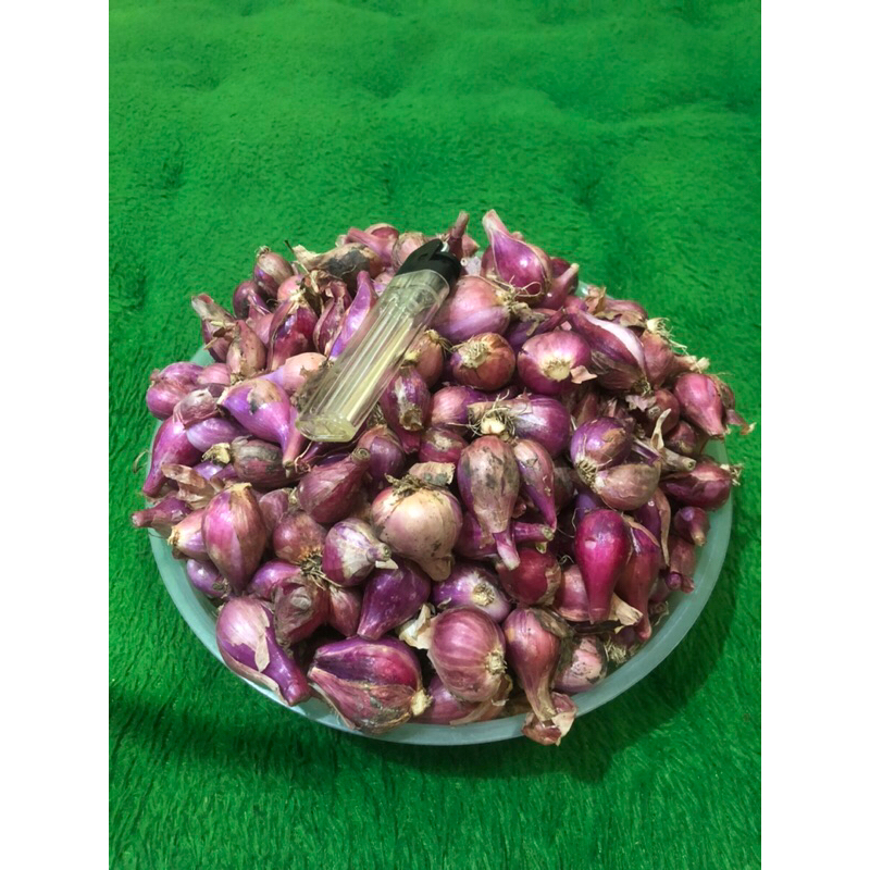 

Bawang Merah Brebes