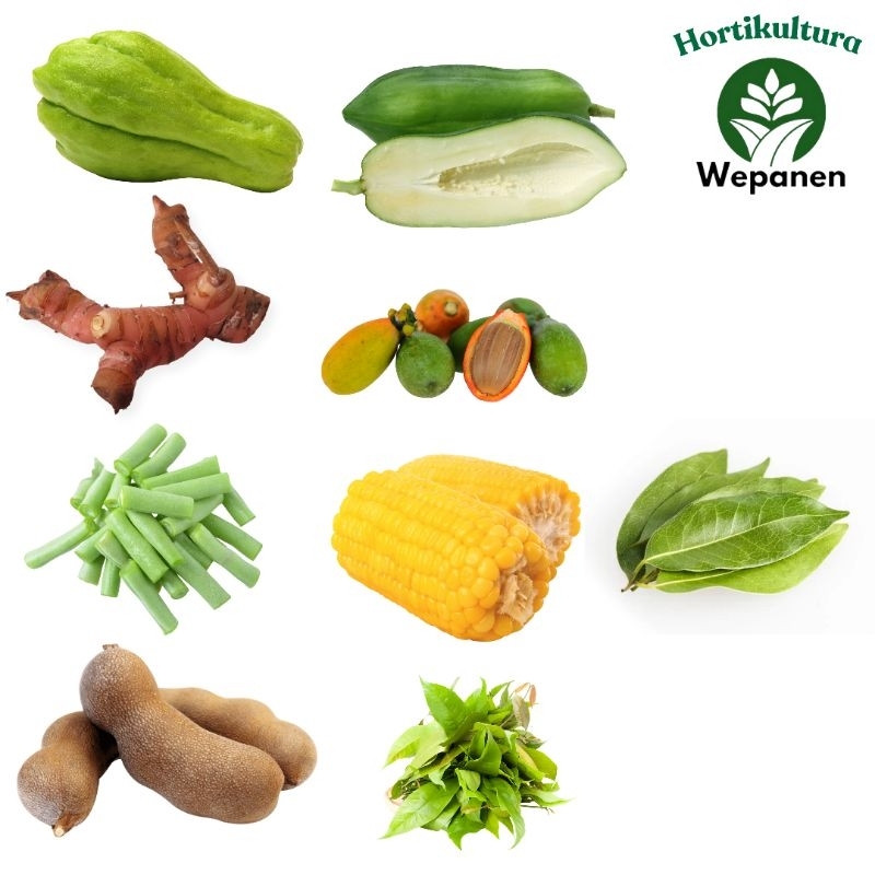 

Paket Sayur Asem Lengkap 1Pcs