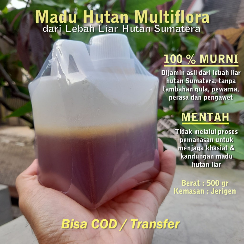 

Madu Hutan Liar Multiflora Murni Asli 500 gram