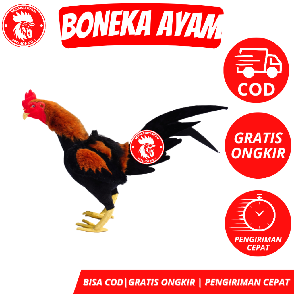 Boneka Ayam Fullbody Boneka Ayam Aduan Boneka Untuk Melatih Ayam Aduan