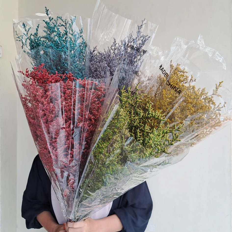 Preserved Caspea Grass Dried Flower