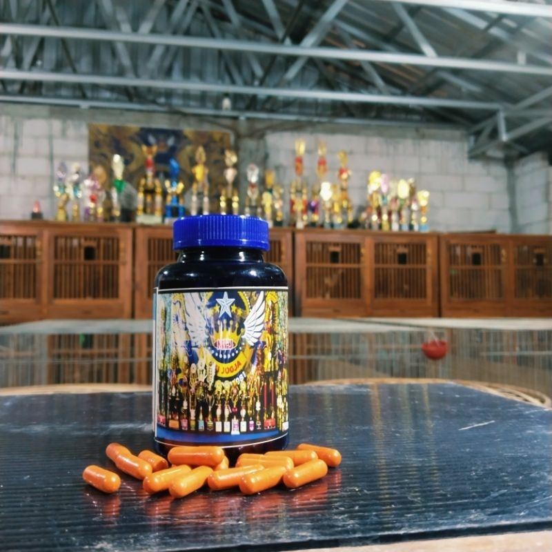 jamu plus stamina ayam