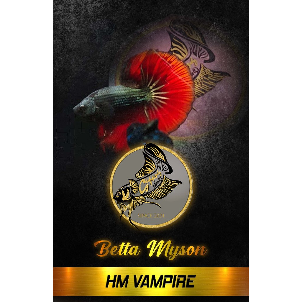 BETTA HM VAMPIRE COOPER MANTUL