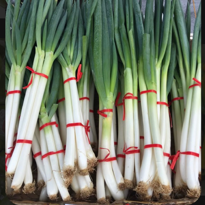 

Bawang Daun Segar Super Market Premium 250gr