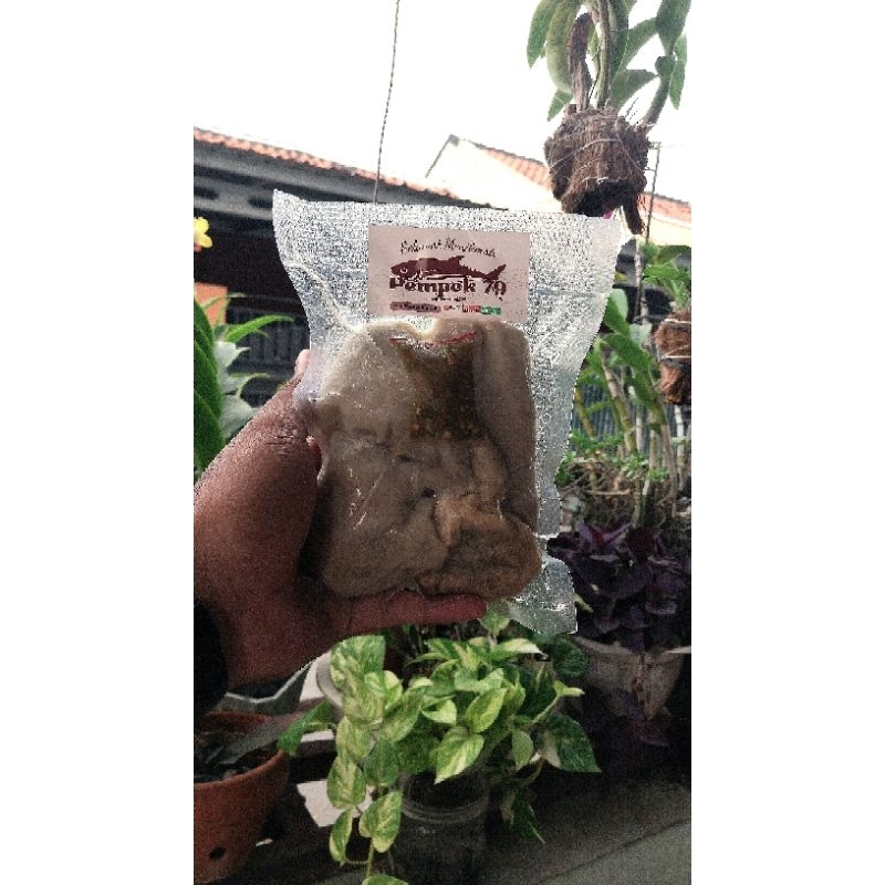 

Pempek Ikan Tenggiri/Pempek Palembang