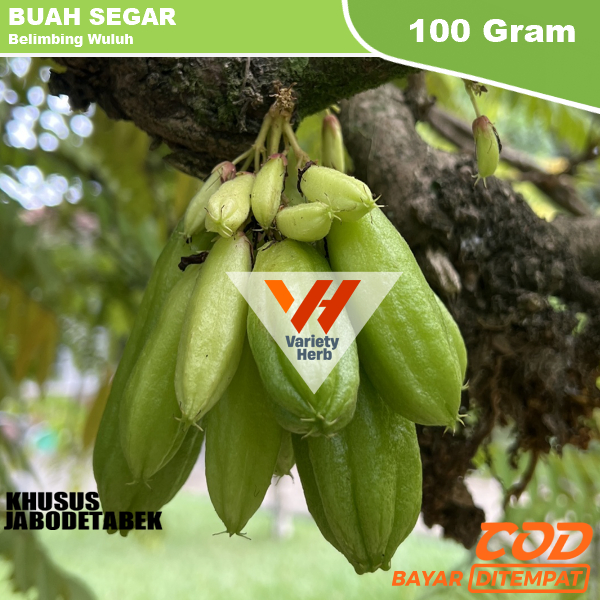 

Buah Belimbing Wuluh 100 Gram Petik Dadakan