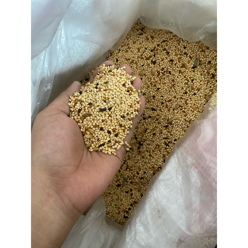 Millet campur untuk burung hamster