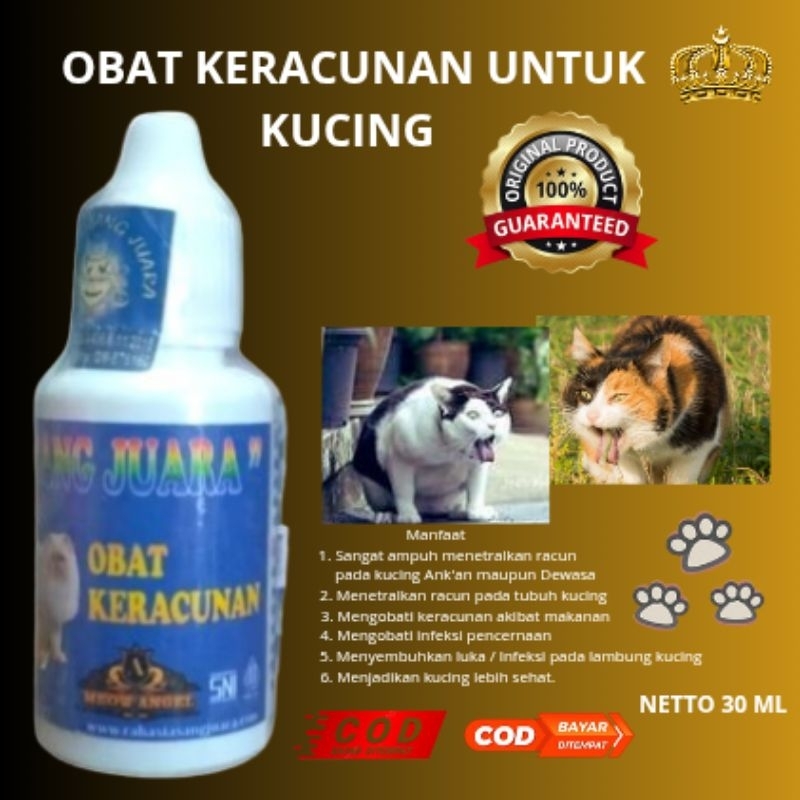 OBAT KERACUNAN UNTUK KUCING