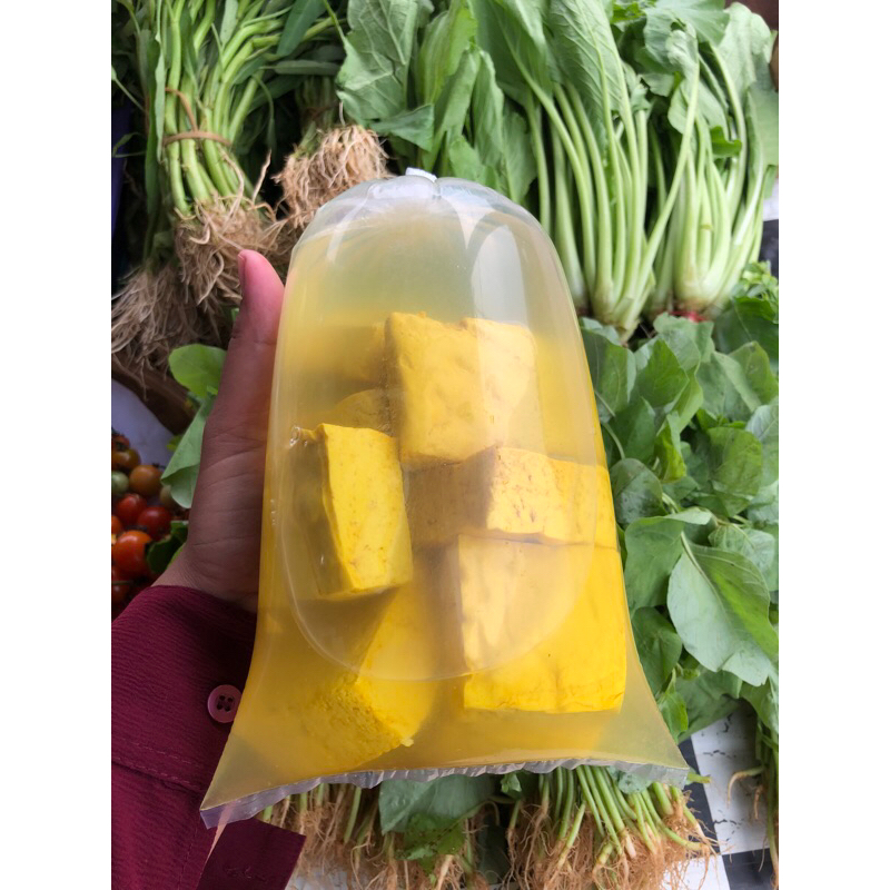 

Tahu kuning besar