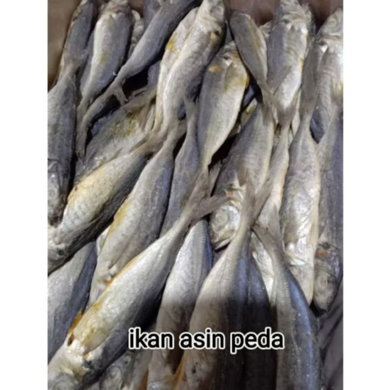 

ikan asin peda berkualitas tinggi berat 250g