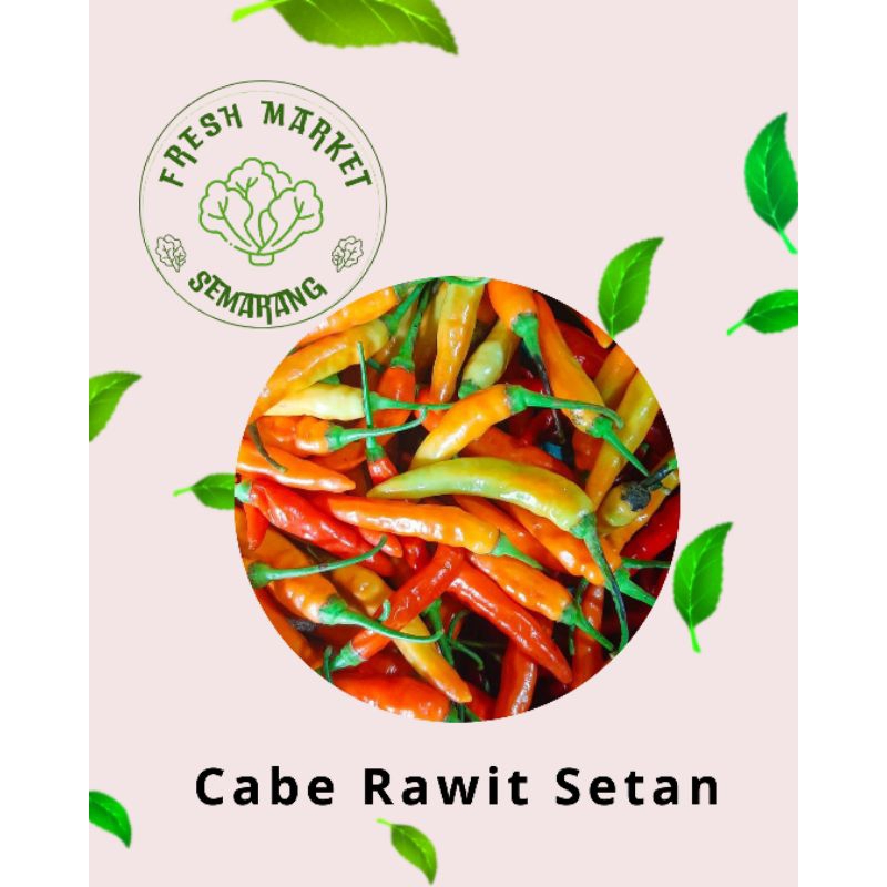 

[INSTAN] CABE RAWIT SETAN/CABAI RAWIT SETAN PEDAS SEMARANG