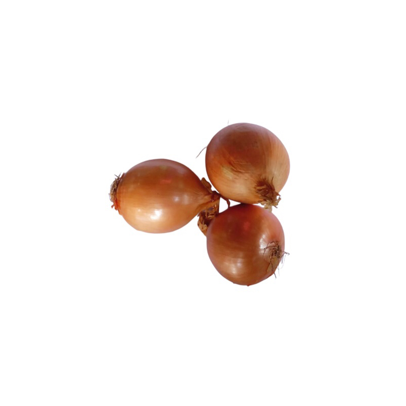 

Bawang bombay