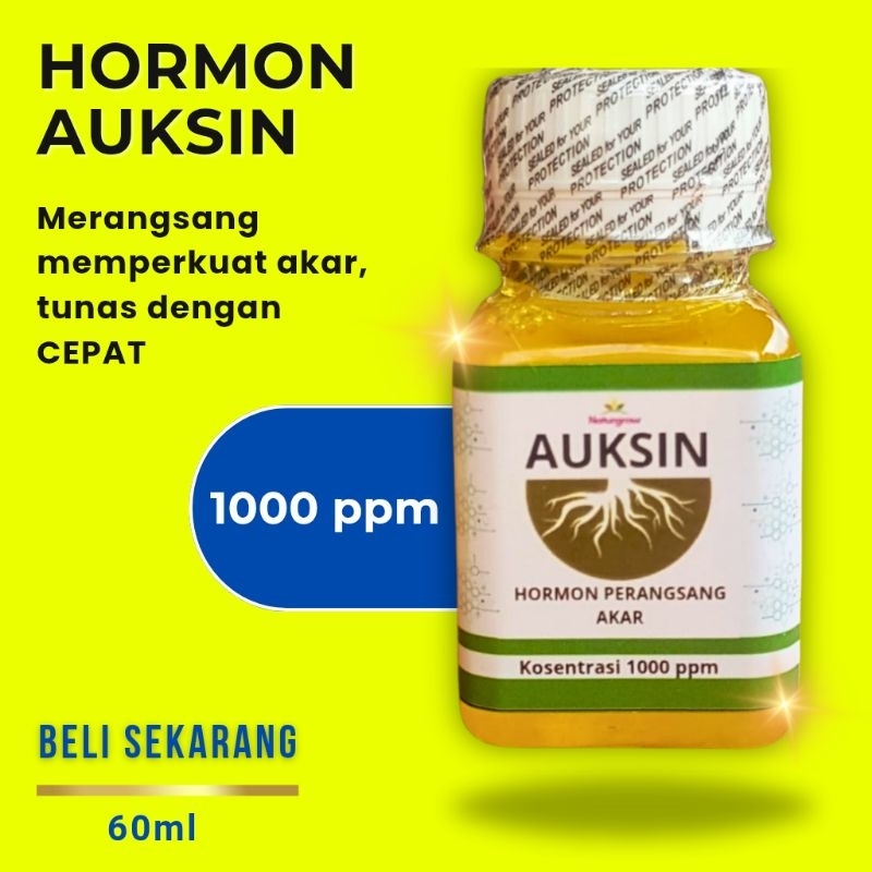 Auksin Hormon murni 1000 ppm-Hormon Auksin Perangsang Akar Tanaman-Hormon Akar Tunas Tanaman