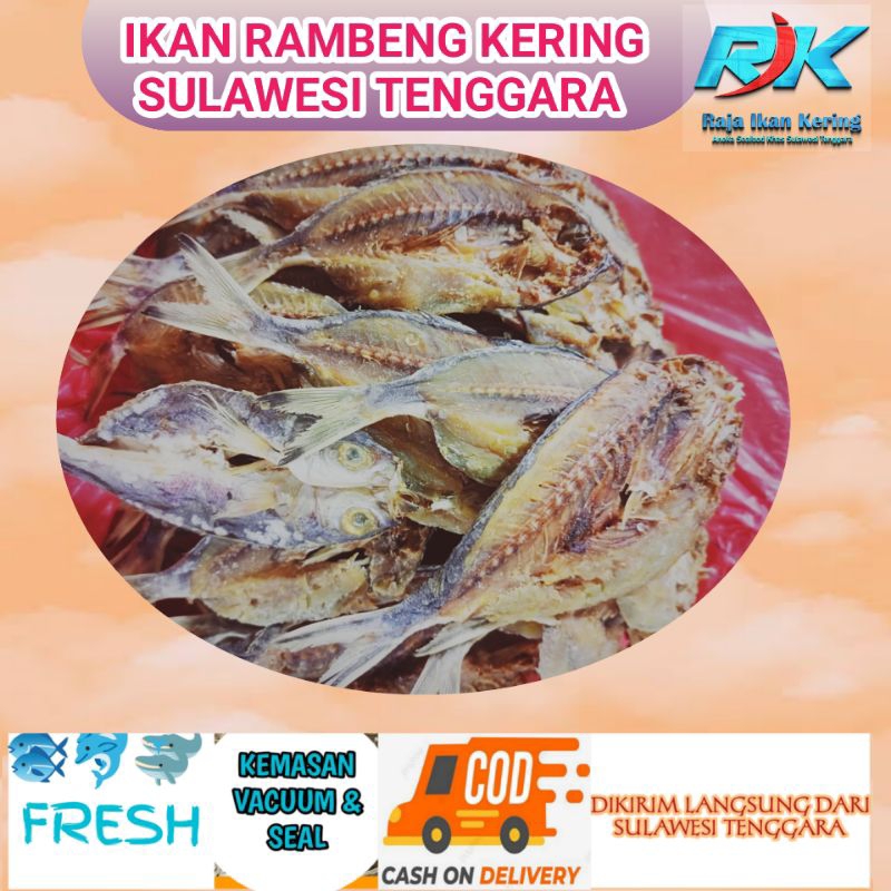 

Ikan Rambeng Kering 1kg Terbaik & Termurah Asli Sulawesi Tenggara
